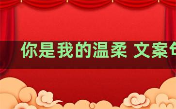 你是我的温柔 文案句子